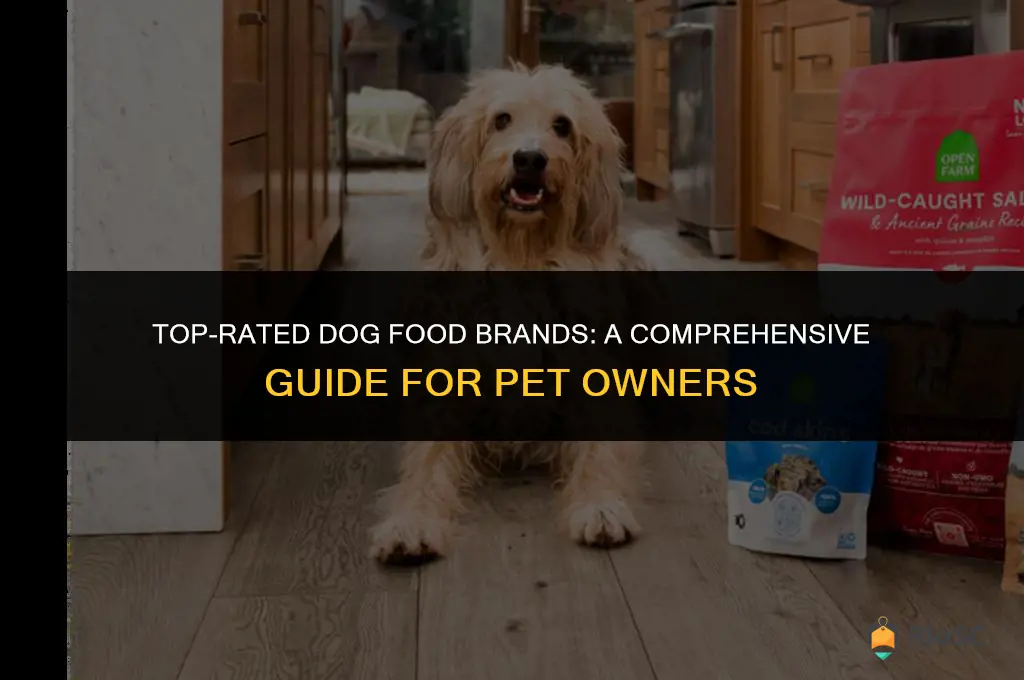 best brand names for dog food