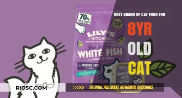 Top-Rated Cat Food for Senior Felines: Nourishing Your 8-Year-Old Companion