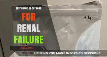 Top Picks for Feline Renal Health: Best Cat Food Brands for Kidney Support