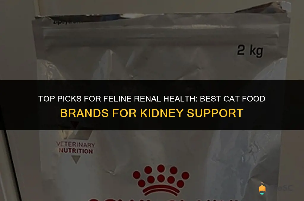 best brand of cat food for renal failure