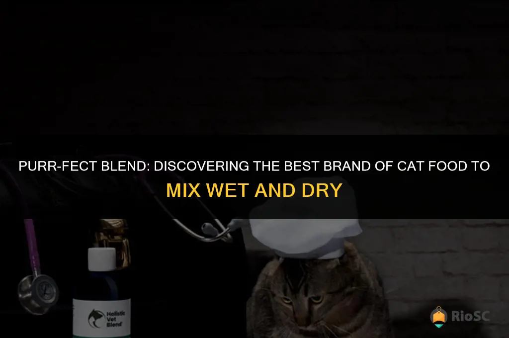 best brand of cat food to mix wet and dry