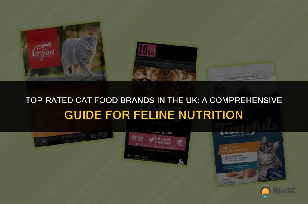 best brand of cat food uk