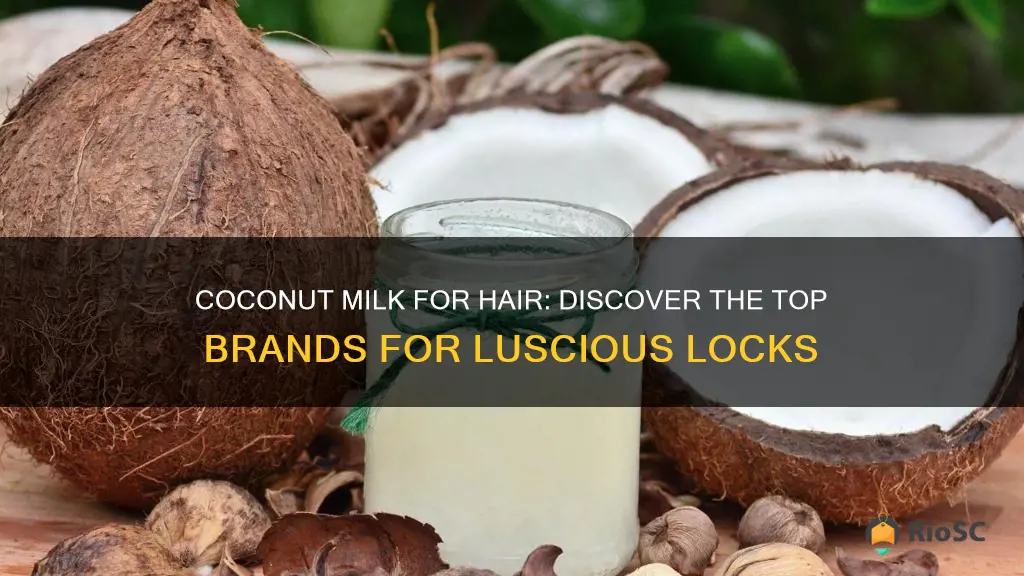 best brand of coconut milk for hair