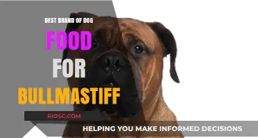 Top-Rated Dog Food Brands for Bullmastiffs: A Comprehensive Guide