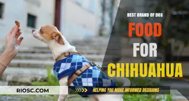 Top-Rated Dog Food Brands for Chihuahuas: A Comprehensive Guide