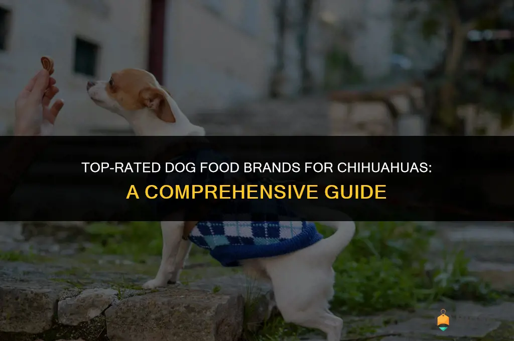best brand of dog food for chihuahua