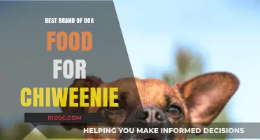 Top-Rated Dog Food Brands for Your Chiweenie: A Comprehensive Guide