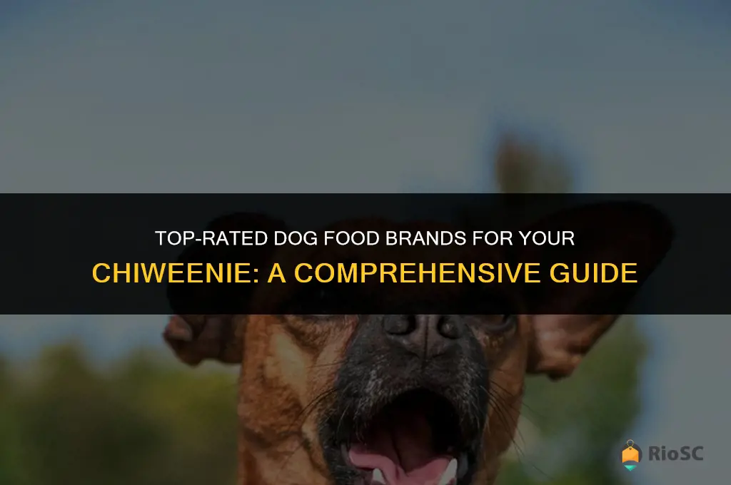 best brand of dog food for chiweenie