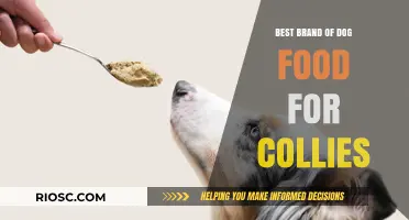 Top-Rated Dog Food Brands for Collies: A Comprehensive Guide to Nutritious Meals for Your Furry Friend