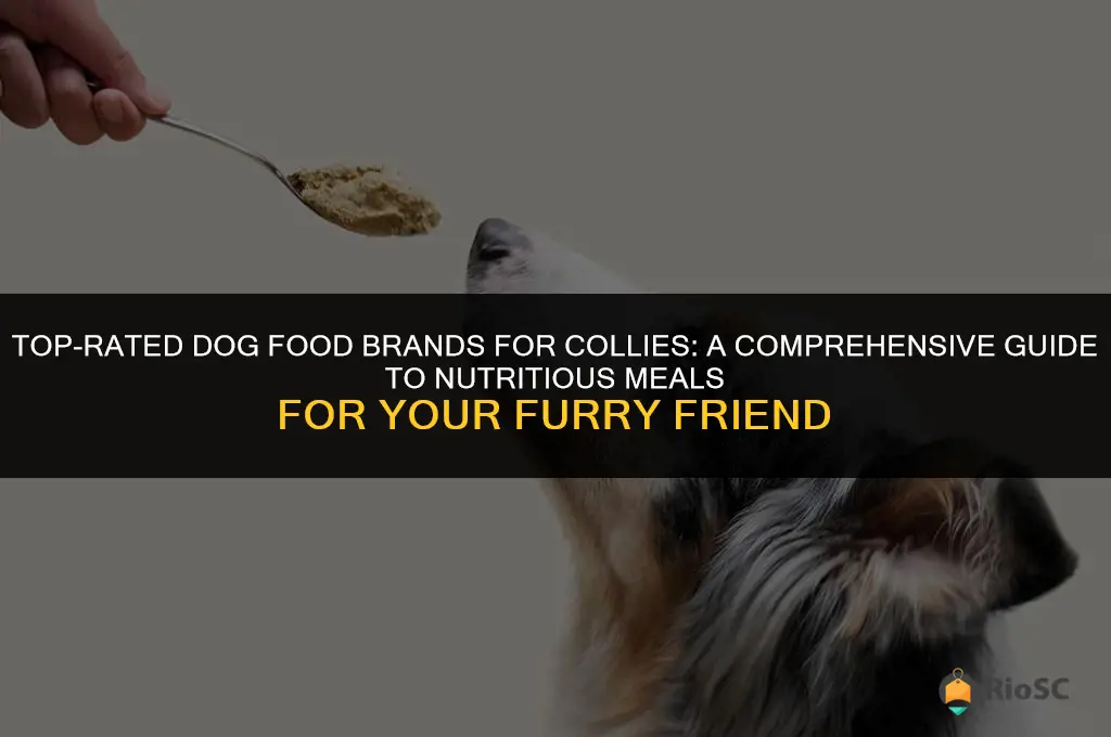 best brand of dog food for collies