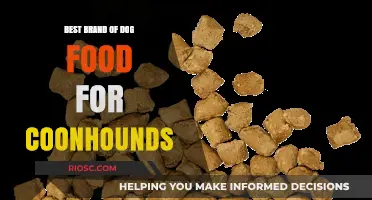 Top-Rated Dog Food Brands for Coonhounds: A Comprehensive Guide