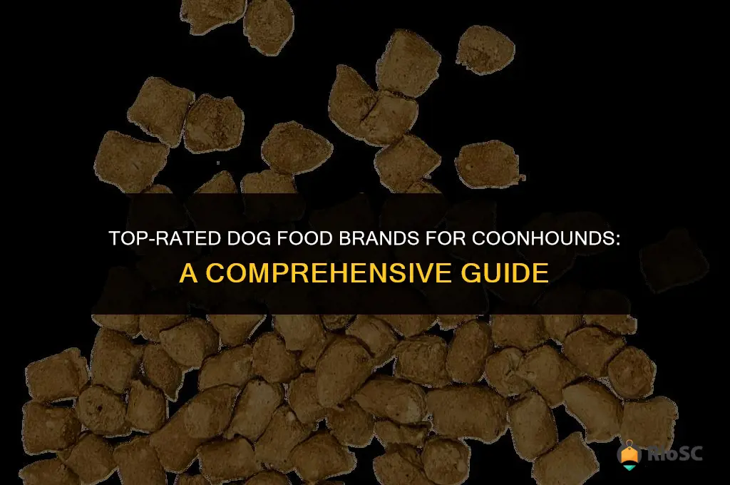 best brand of dog food for coonhounds