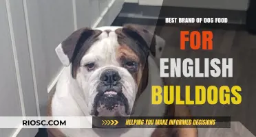 Top-Rated Dog Food Brands for English Bulldogs: A Comprehensive Guide
