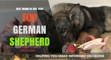 Top-Rated Dog Food Brands for German Shepherds: A Comprehensive Guide