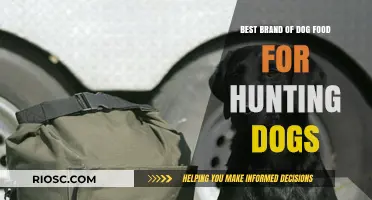 Top-Rated Dog Food Brands for Hunting Dogs: Fueling Your Companion for the Great Outdoors