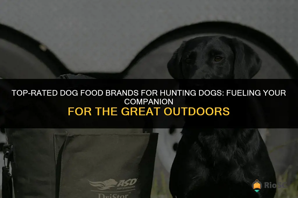 best brand of dog food for hunting dogs