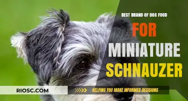 Top-Rated Dog Food Brands for Miniature Schnauzers: A Comprehensive Guide