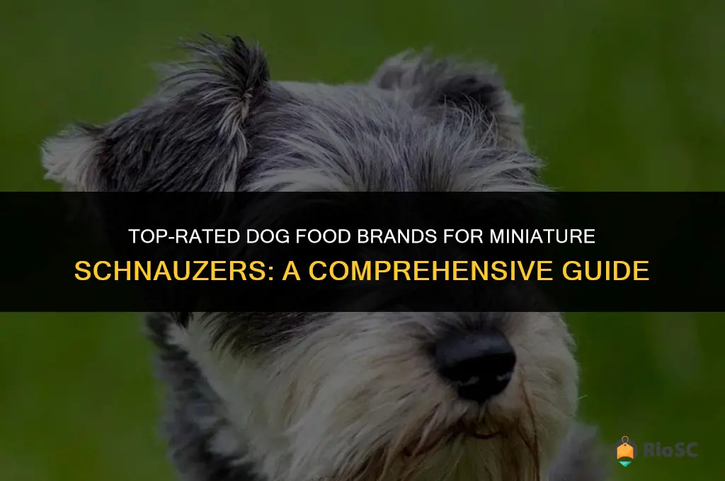 best brand of dog food for miniature schnauzer