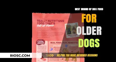 Nourishing Senior Canines: Top Dog Food Brands for Aging Pets