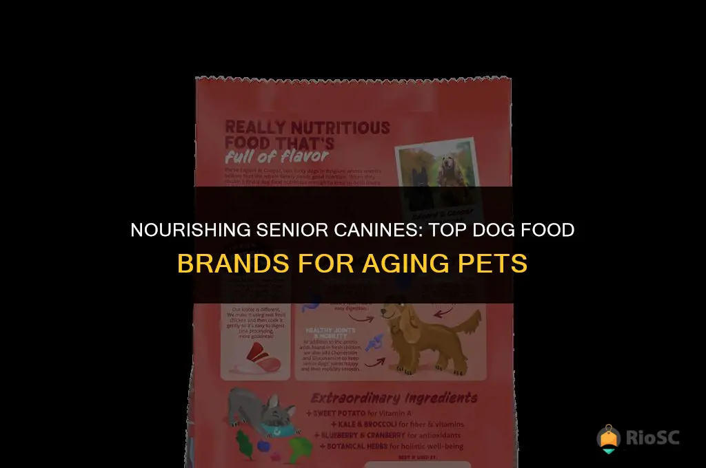 best brand of dog food for older dogs