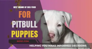 Nourishing Growth: Top Dog Food Picks for Pitbull Puppies