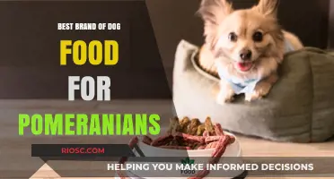 Top-Rated Dog Food Brands for Pomeranians: A Comprehensive Guide