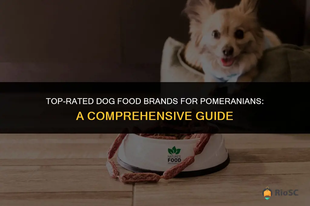 best brand of dog food for pomeranians