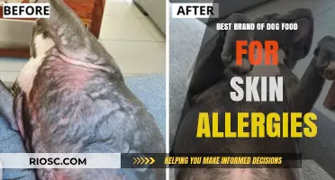 Top Picks for Soothing Skin Allergies in Dogs: A Comprehensive Guide to the Best Dog Food Brands