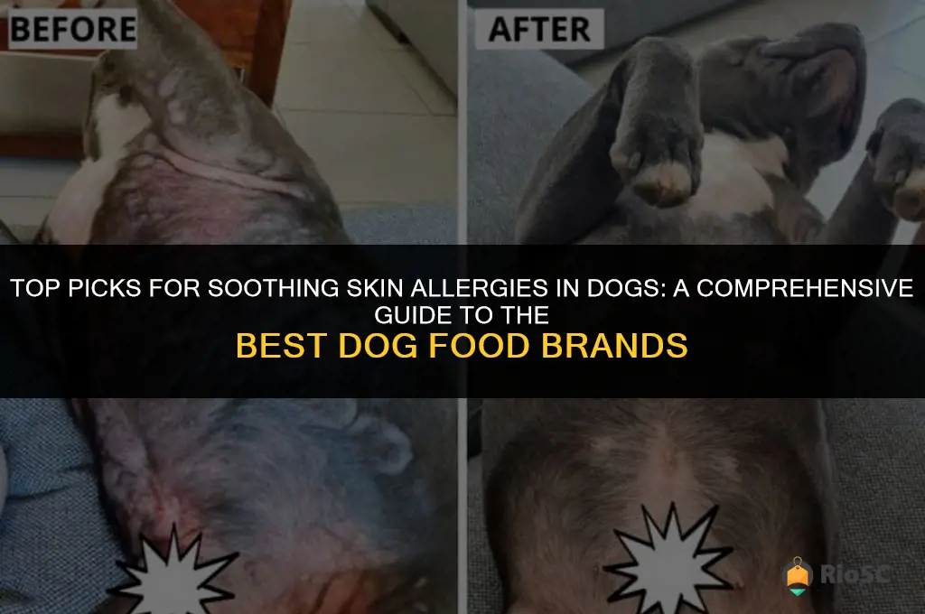 best brand of dog food for skin allergies