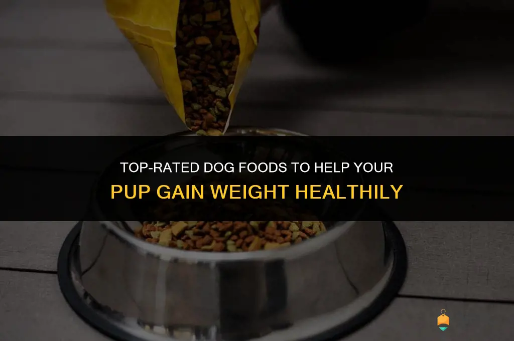 best brand of dog food for weight gain
