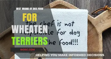 Top-Rated Dog Food Brands for Wheaten Terriers: A Comprehensive Guide
