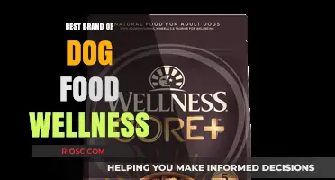 Top-Rated Wellness Dog Food Brands: A Comprehensive Guide for Pet Owners