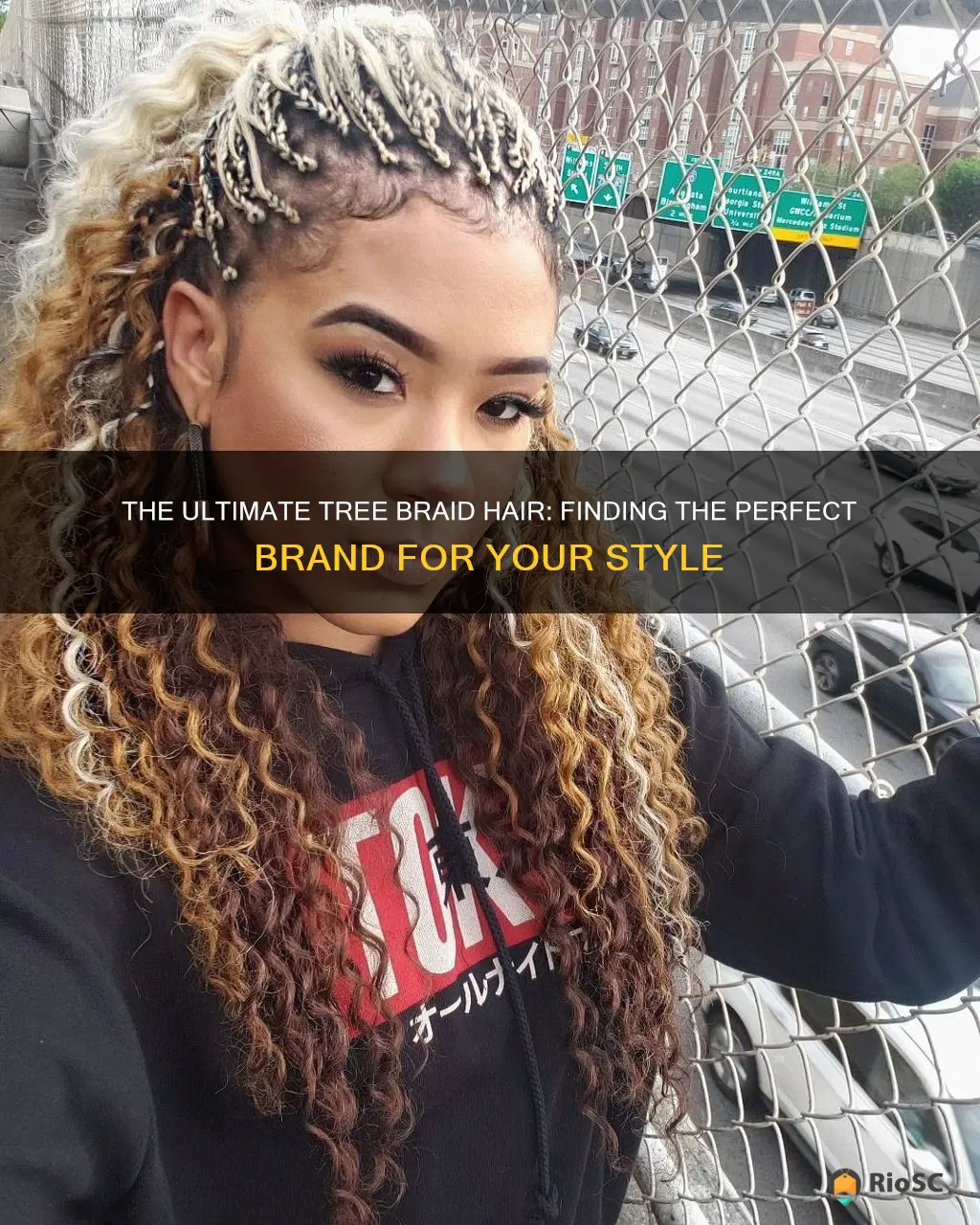 best brand of hair for tree braids