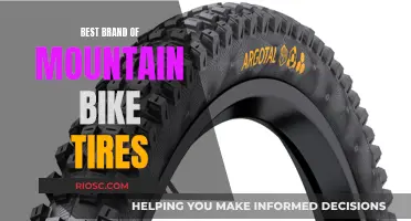 The Ultimate Mountain Bike Tires: Brand Guide to Conquering Trails