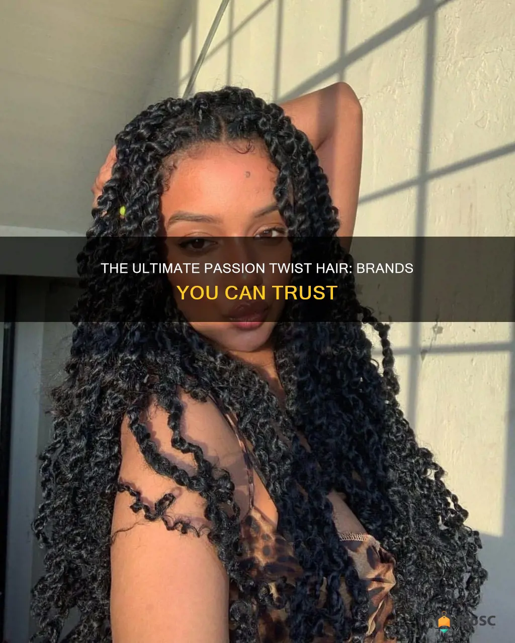 best brand of passion twist hair