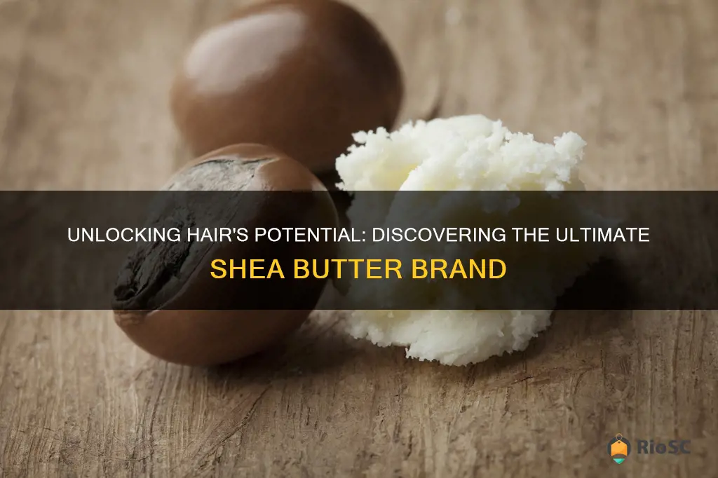 best brand of shea butter for hair