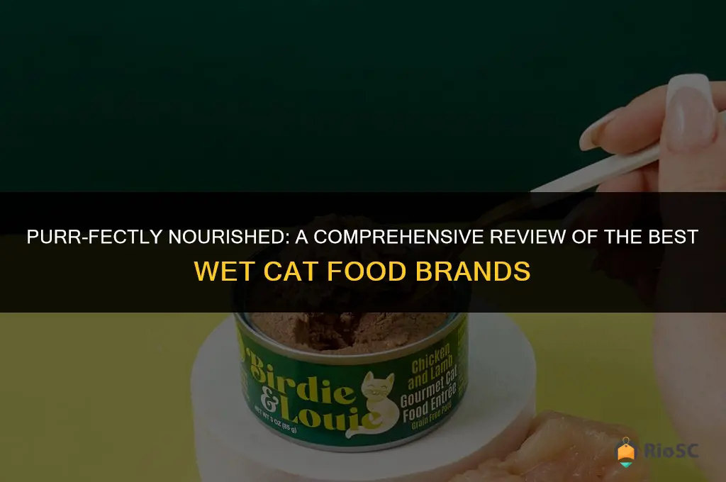 best brand of wet cat food reviews