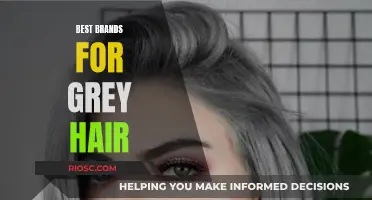 Embracing the Silver: Top Brands for Grey Hair Care and Color