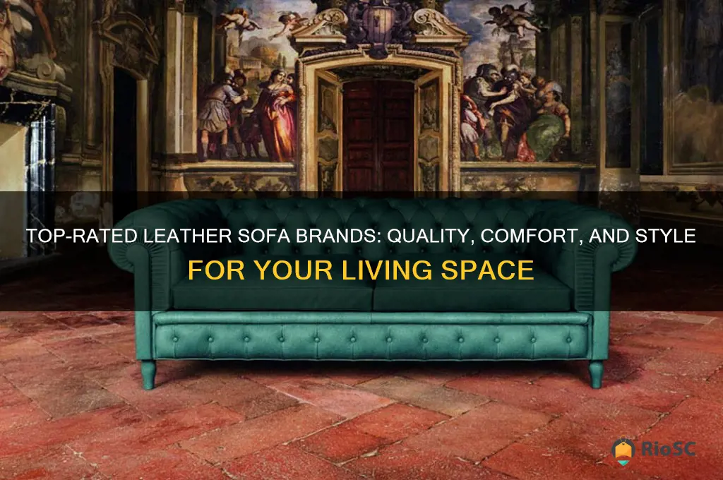 best brands for leather sofas