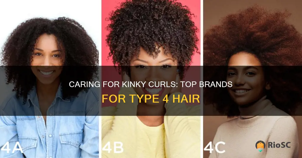 best brands for type 4 hair