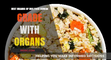 Top-Rated Human-Grade Dog Foods with Organ Ingredients for Optimal Canine Health