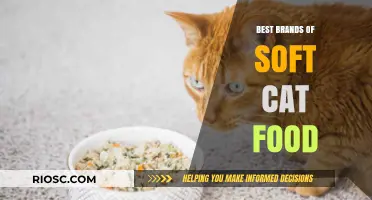 Top-Rated Soft Cat Food Brands: A Comprehensive Guide for Feline Nutrition