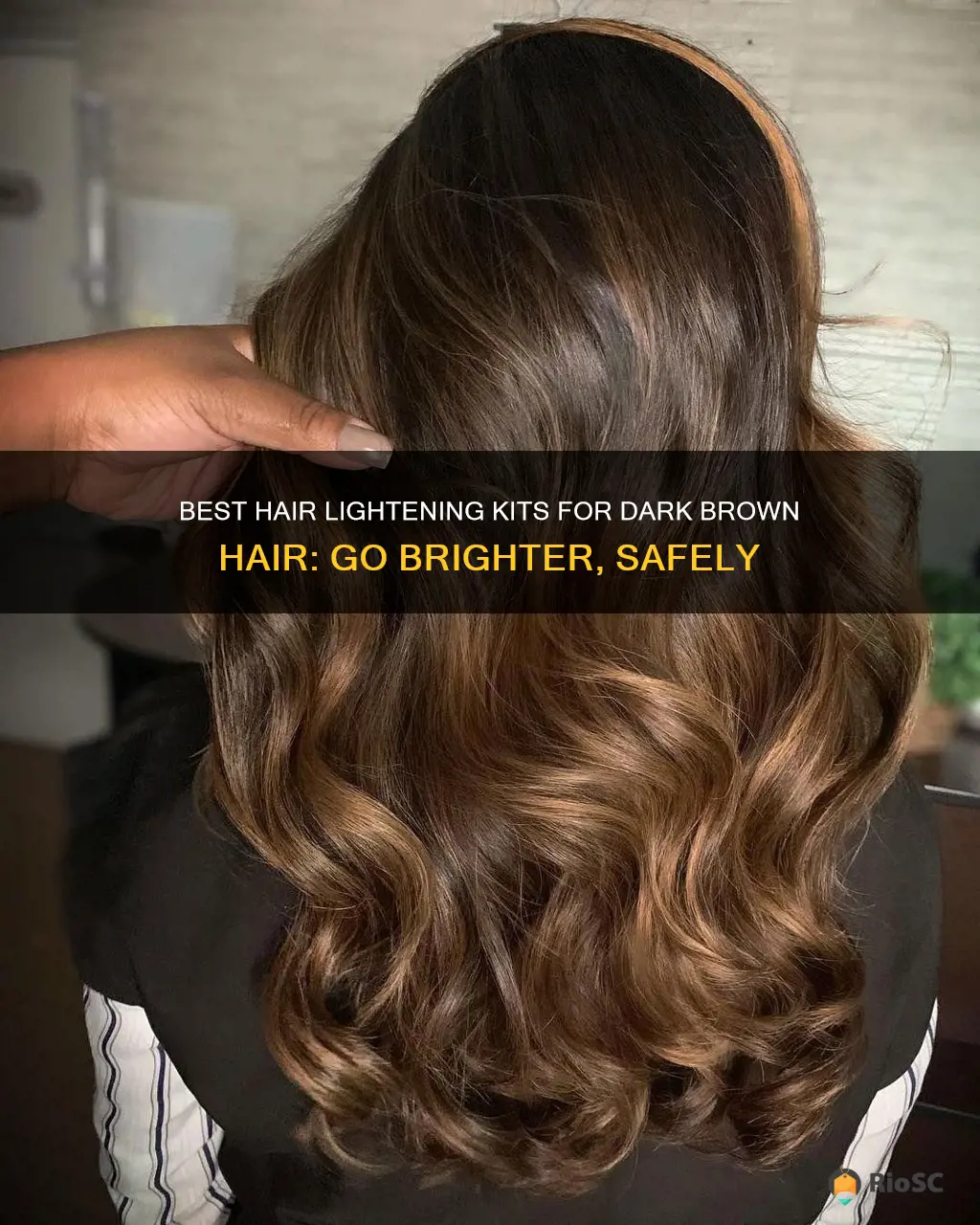 best brands to lighten dark brown hair