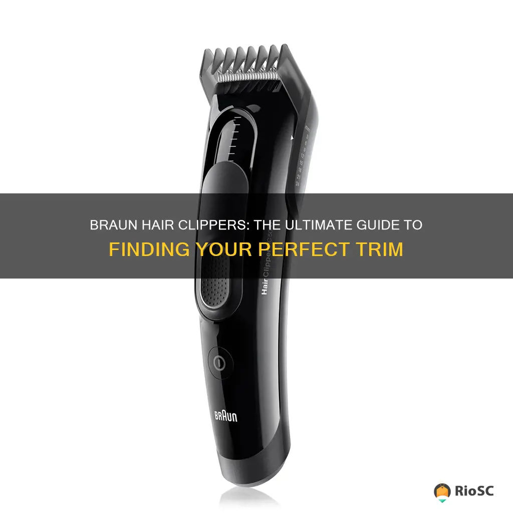 best braun hair clippers