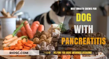 Soothing Solutions: Top Breath Chews for Dogs with Pancreatitis