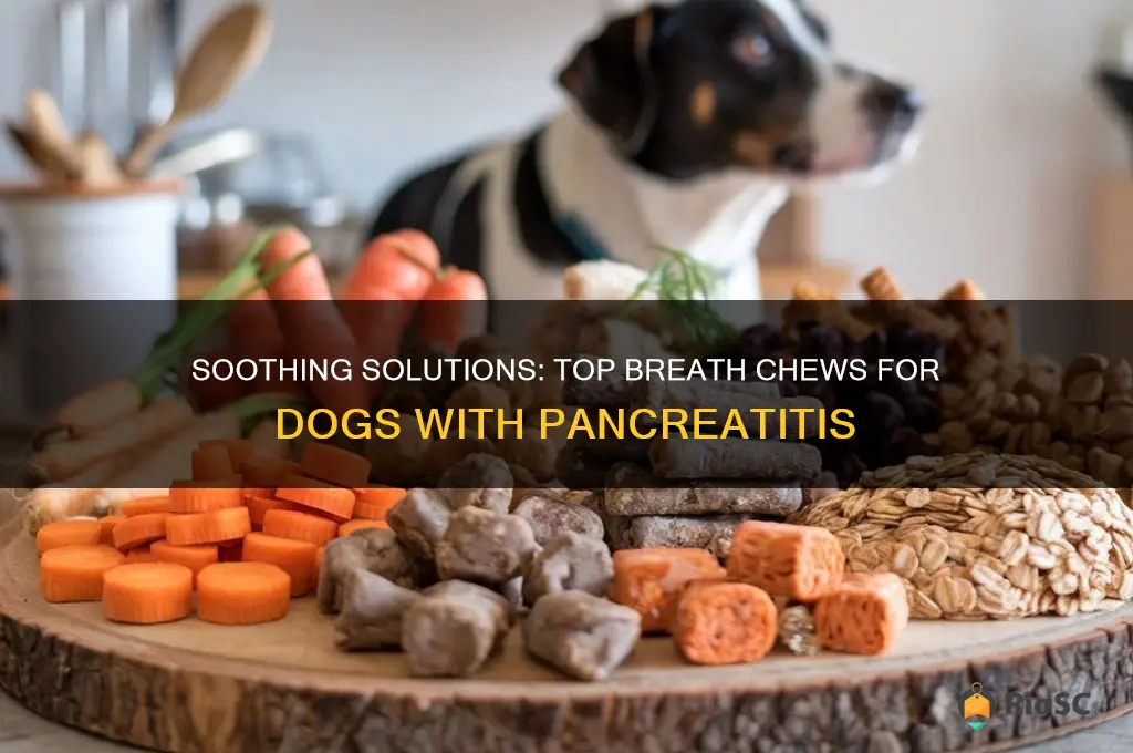 best breath chews for dog with pancreatitis