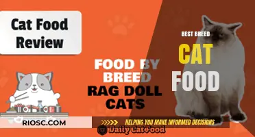 Top Picks for Feline Nutrition: The Best Breed Cat Food Options