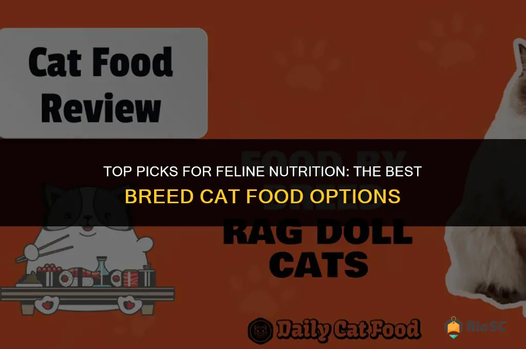best breed cat food