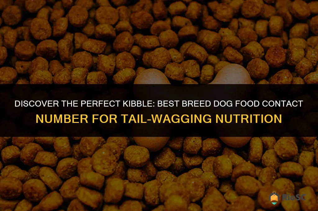 best breed dog food contact number