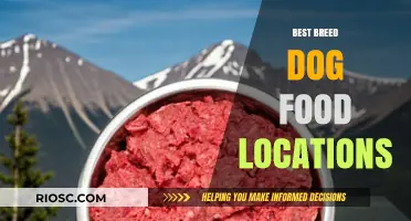 Top Spots for Premium Dog Food: A Guide to the Best Breed-Specific Locations